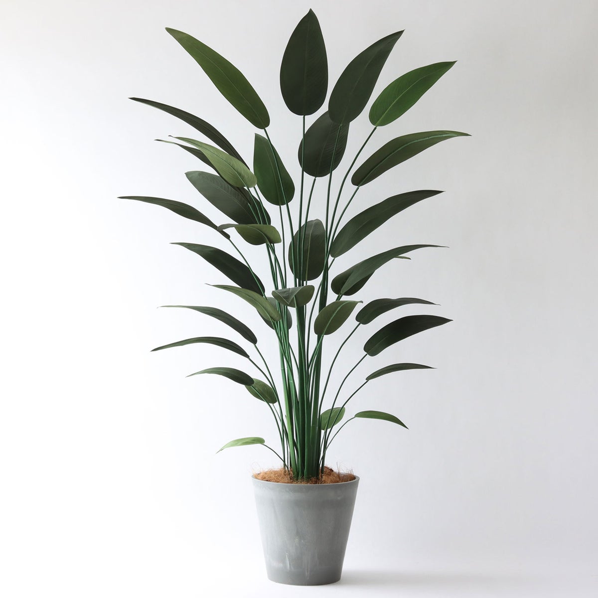 ⑯ Petraポット 大（PT10 グレー）｜高さ調整セット（+15cm）