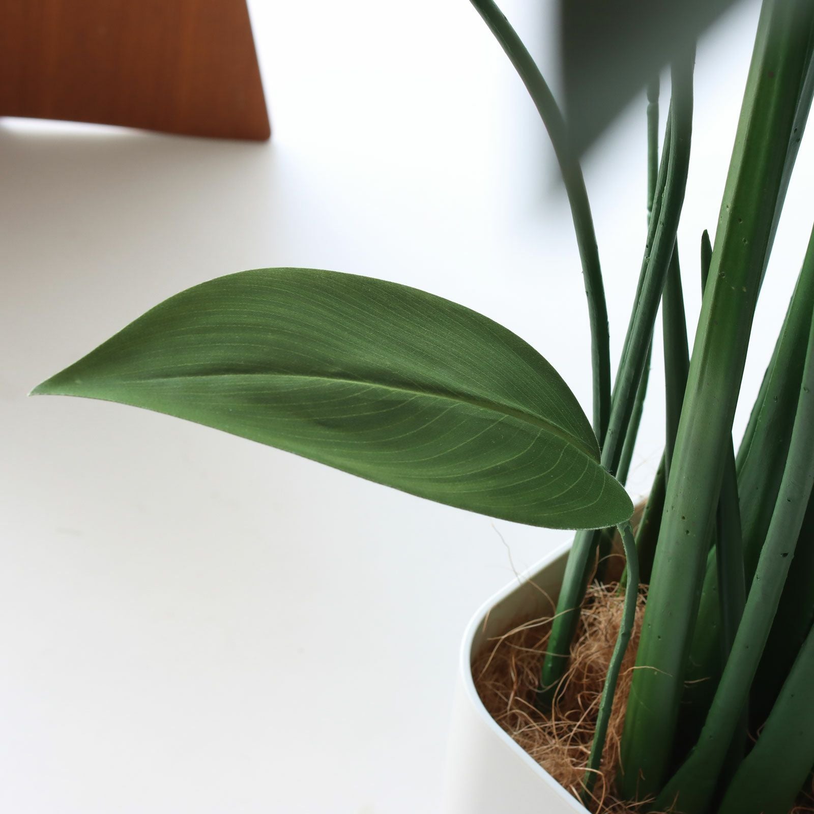 【決まりました】観葉植物　レプリカ　135センチ No9399 プレミアム光触媒フェイクグリーン 「風が描いたような