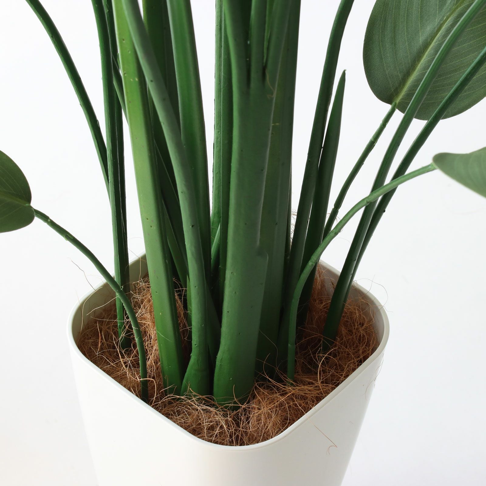 光触媒 人工観葉植物 ウォールグリーン フェイクグリーン ストレチア 