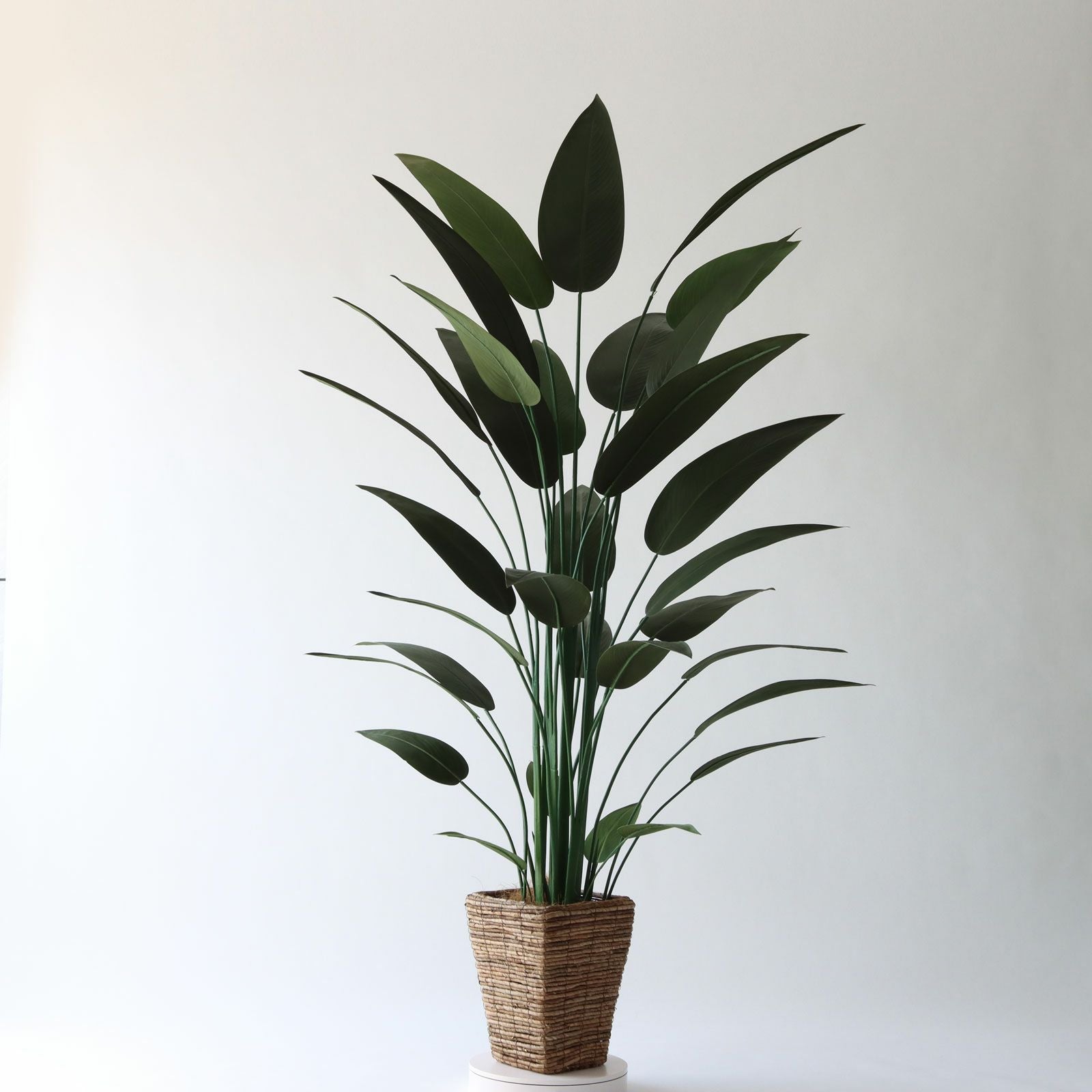 360度回転イメージ