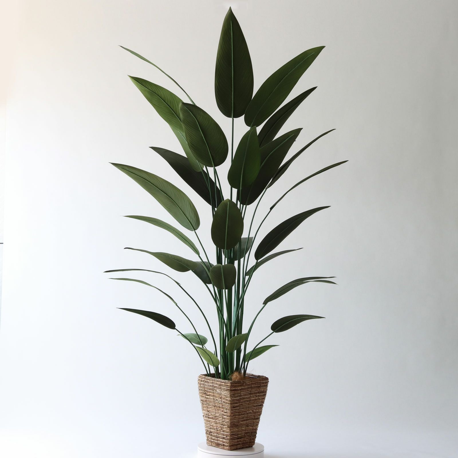 【新着商品】フェイクグリーン 人工観葉植物 観葉樹 造花 高さ168cm 光触媒 光触媒 光の楽園 幸福ノ木S【インテリア フェイクグリーン 人工観葉