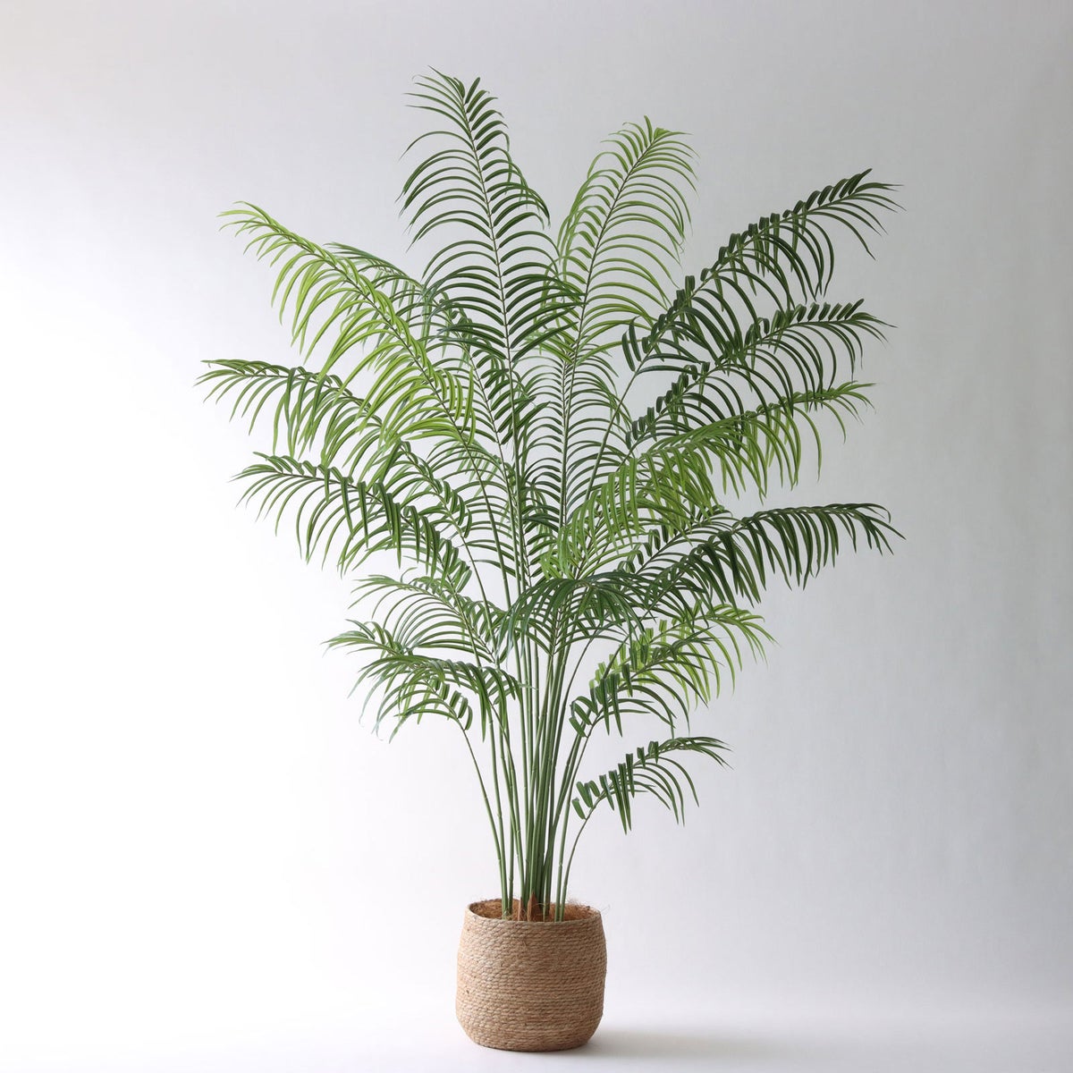 ① シーグラス 大（SK8）｜標準セット