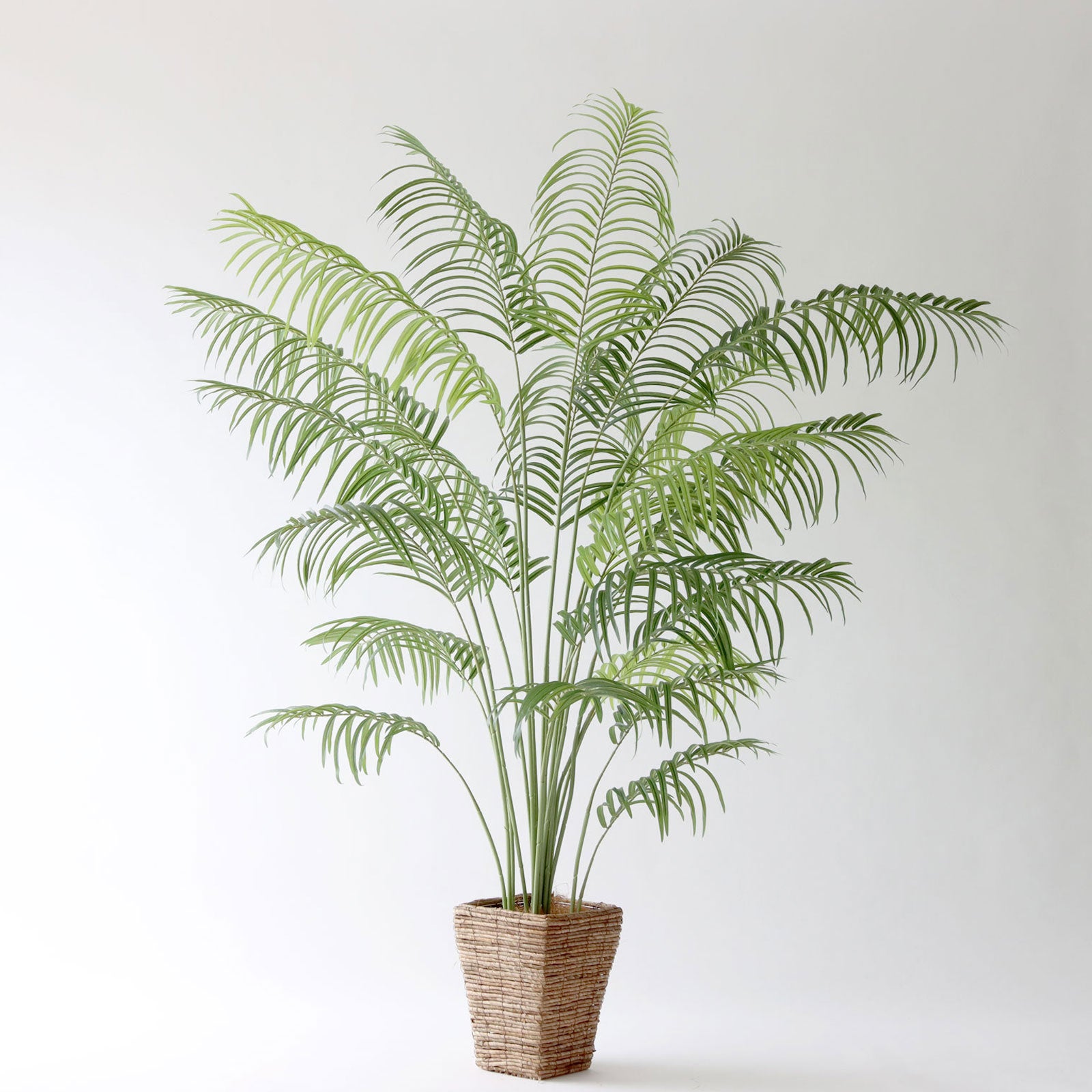 ⑤再値下げ【処分価格】新品 アレカヤシ(１７０ｃｍ)　人工観葉植物 フェイクグリーン アレカヤシの観葉植物 フェイクグリーン | 造花専門店プリマ