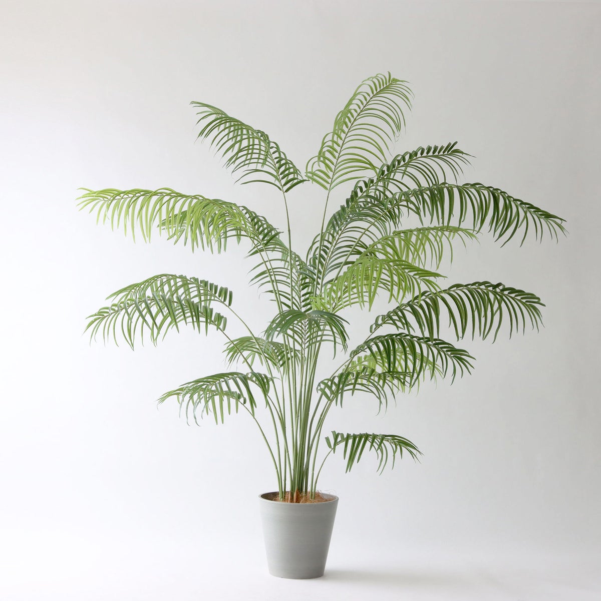 ⑮ Petraポット 小（PT8 グレー）鉢カバー＋底上げセット