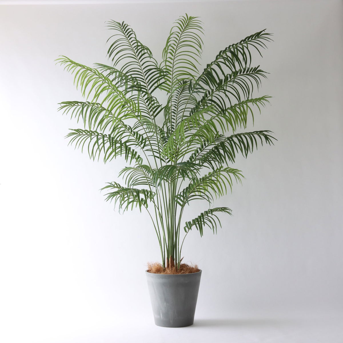 ⑯ Petraポット 大（PT10 グレー）鉢カバー＋底上げセット