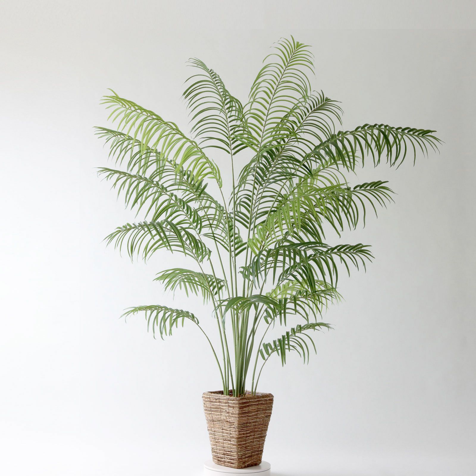 360度回転イメージ