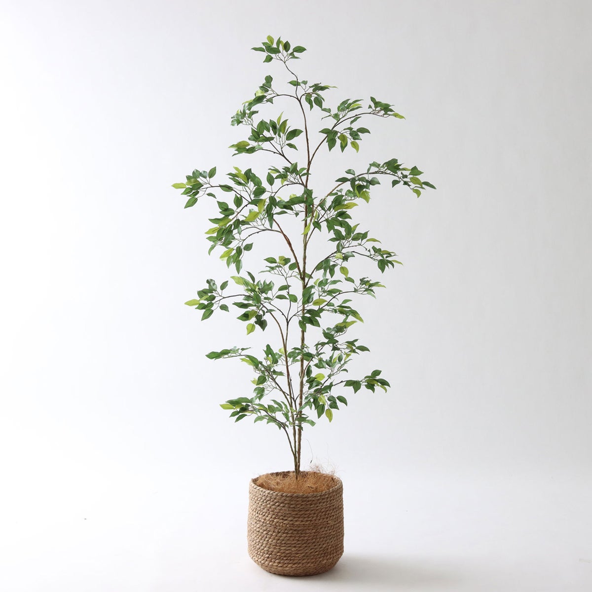 ③ シーグラス 小（SK7）｜標準セット