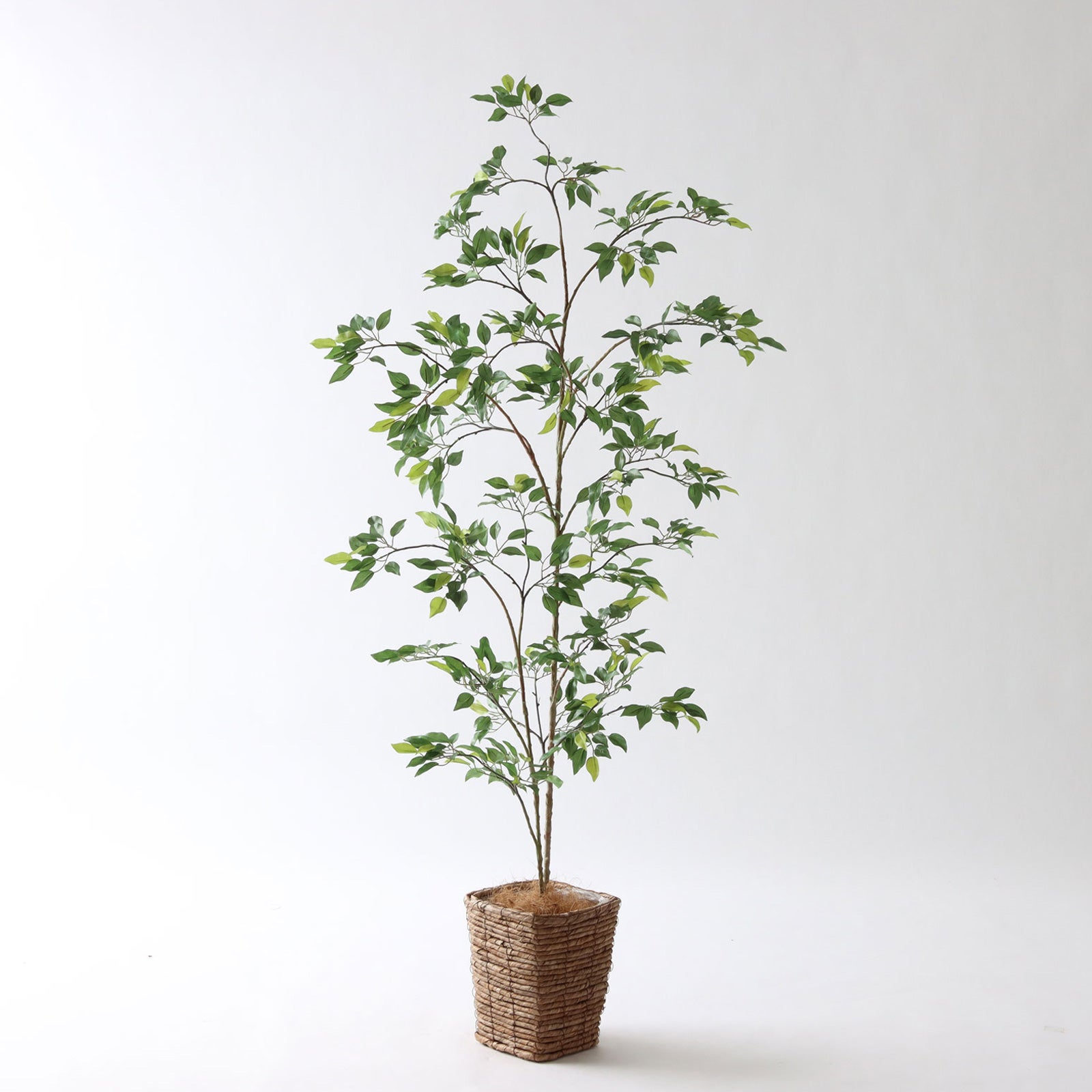 スリムでスタイリッシュ | プレミアム光触媒フェイクグリーン 造花