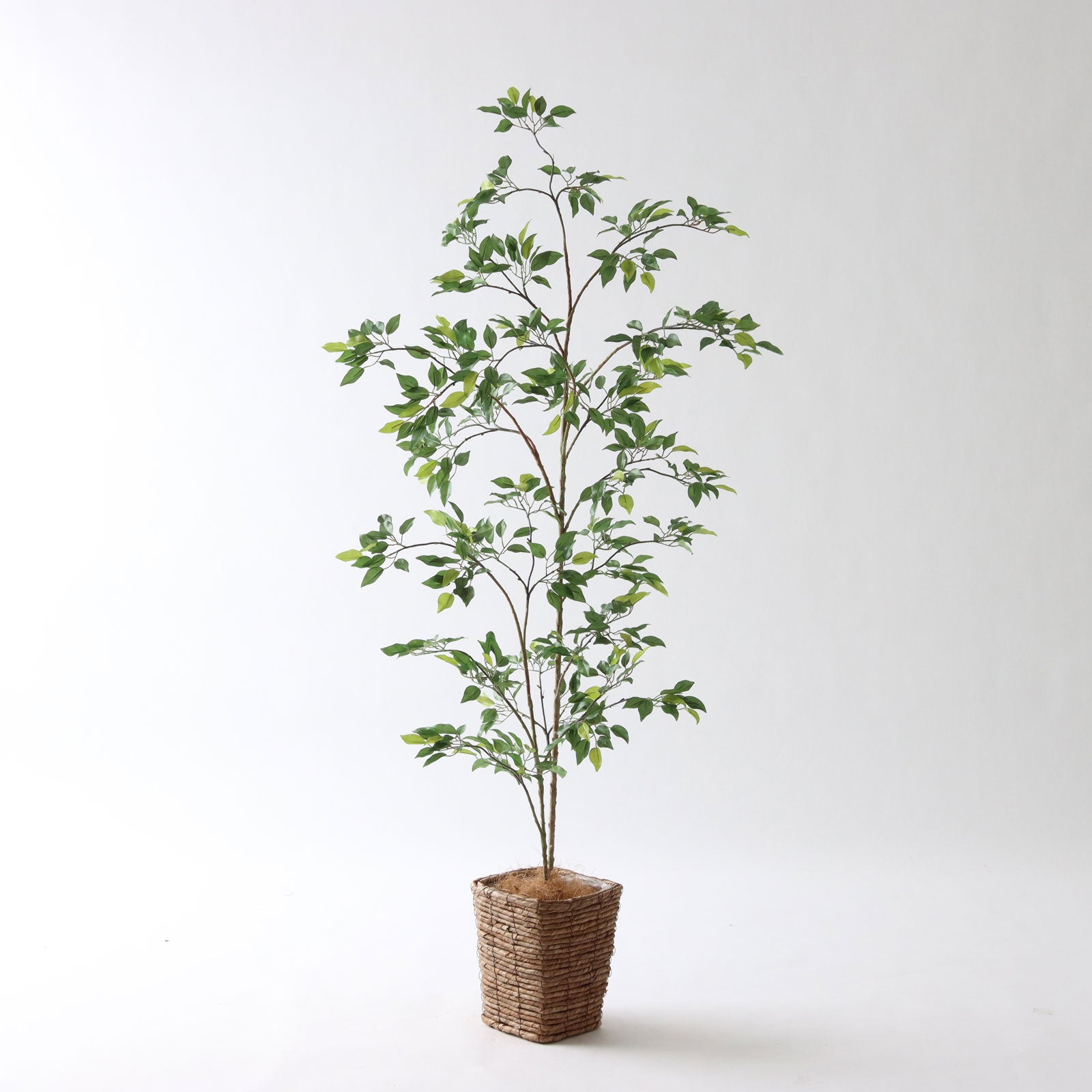 光触媒 フェイクグリーン スリム スタイリッシュ 観葉植物 造花 室内用 おしゃれ インテリアグリーン