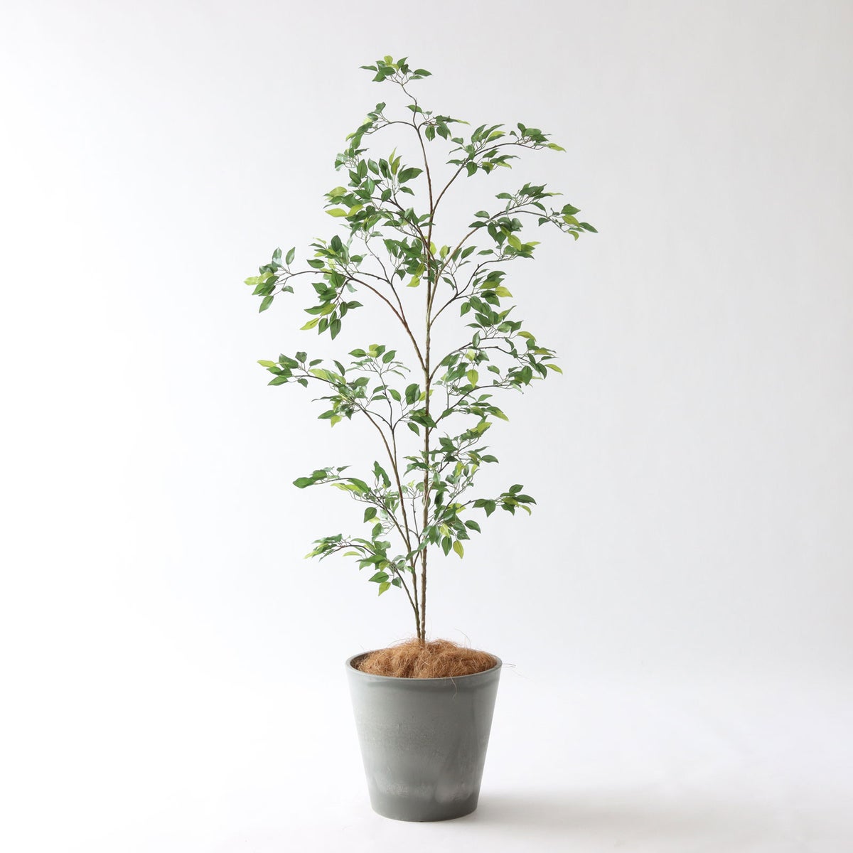 ⑮ Petraポット 小（PT8 グレー）鉢カバー＋底上げセット