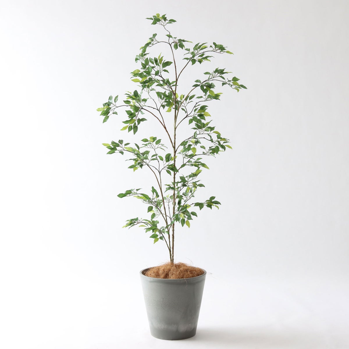 ⑮ Petraポット 小（PT8 グレー）｜高さ調整セット（+10cm）