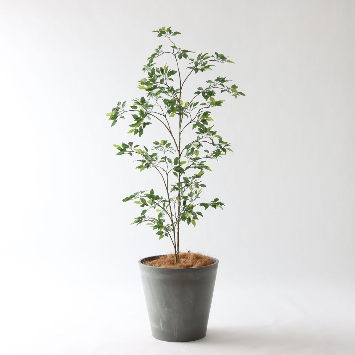 ⑯ Petraポット 大（PT10 グレー）鉢カバー＋底上げセット