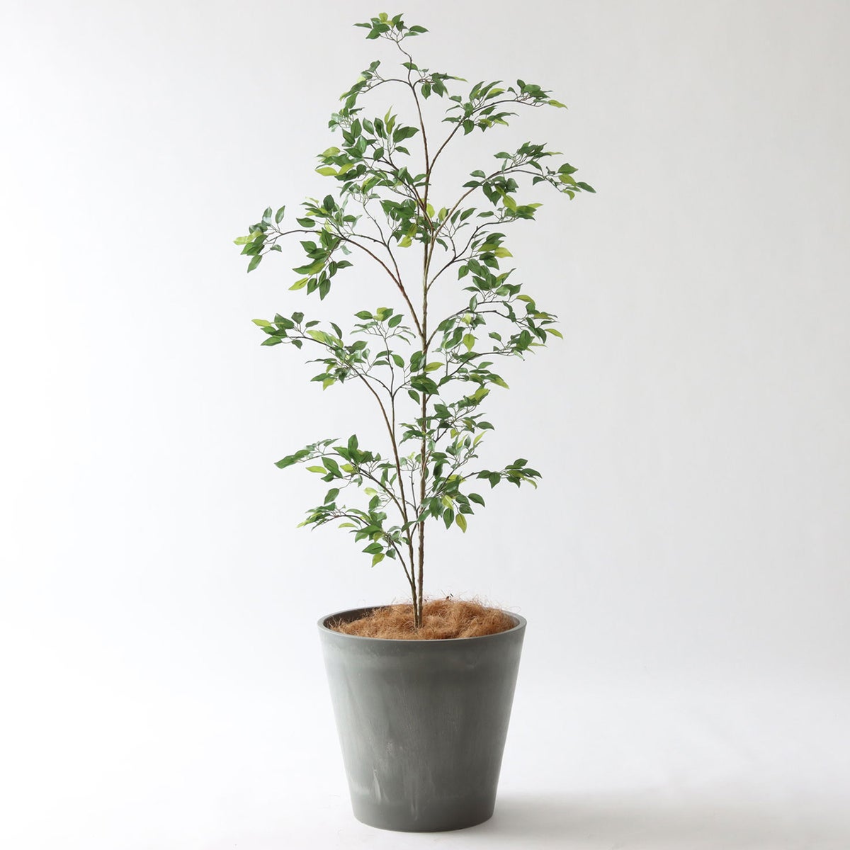 ⑯ Petraポット 大（PT10 グレー）｜高さ調整セット（+15cm）