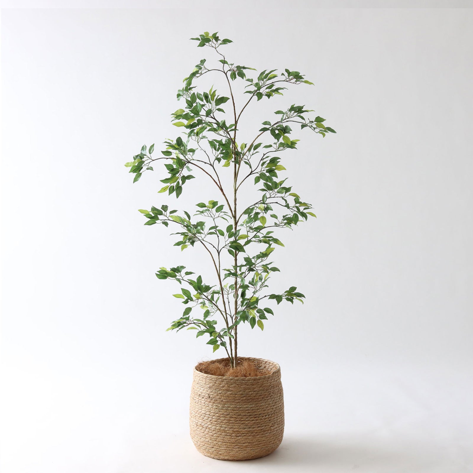 フェイクグリーン　光触媒人工観葉植物 プレミアム光触媒フェイクグリーン 造花ドットコム zouka.com