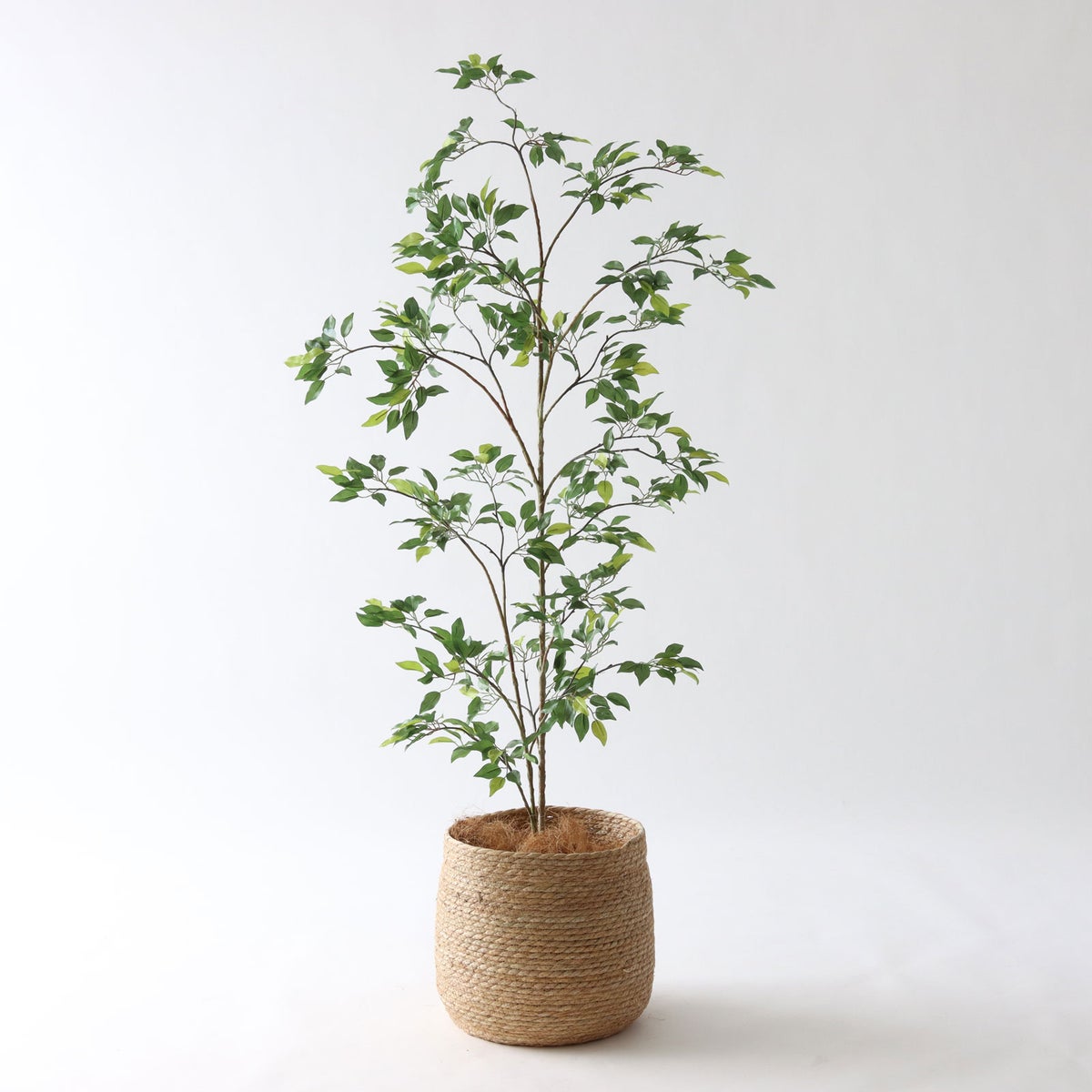 ① シーグラス 大（SK8）鉢カバーセット