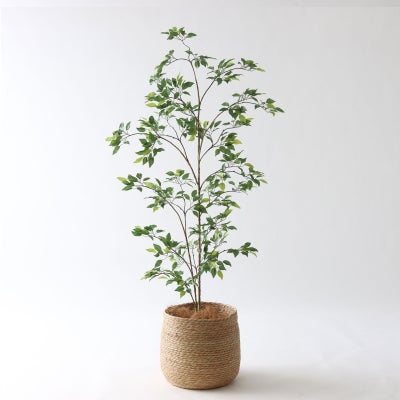高さ120-150cm | プレミアム光触媒フェイクグリーン 造花ドットコム 
