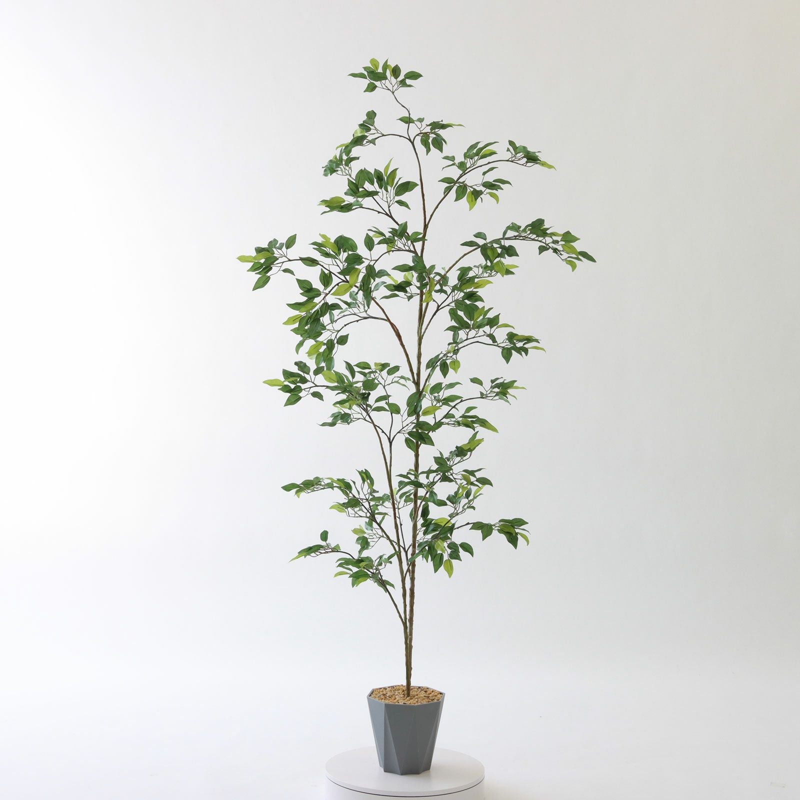 Formaポット仕様