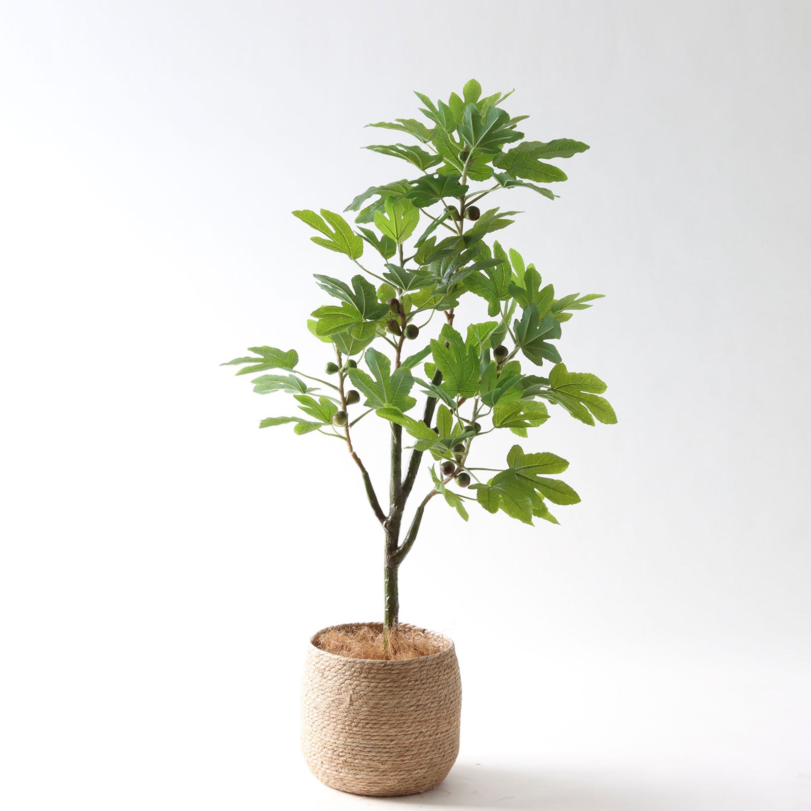 フェイクグリーン いちじくの木 インテリア 光触媒 観葉植物 造花