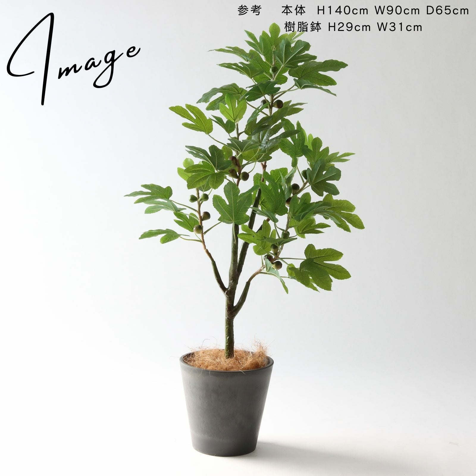 人工観葉植物 GREEN COFFRET オーガスタ115陶器鉢付・黒 人工観葉植物 フェイク