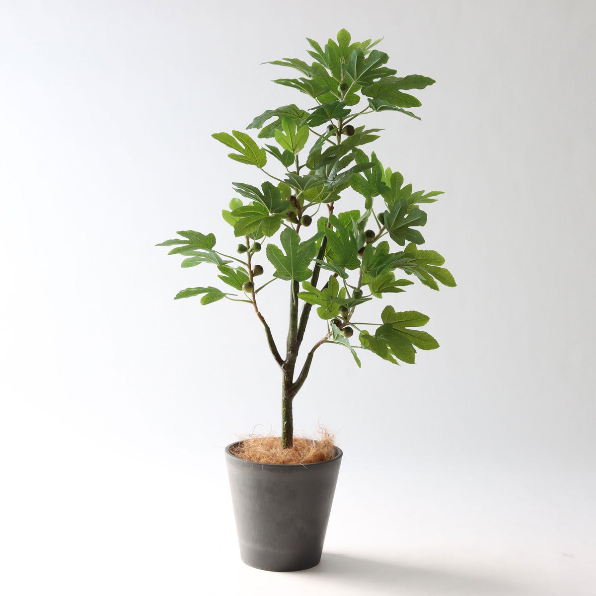 ⑮ Petraポット 小（PT8 グレー）鉢カバー＋底上げセット