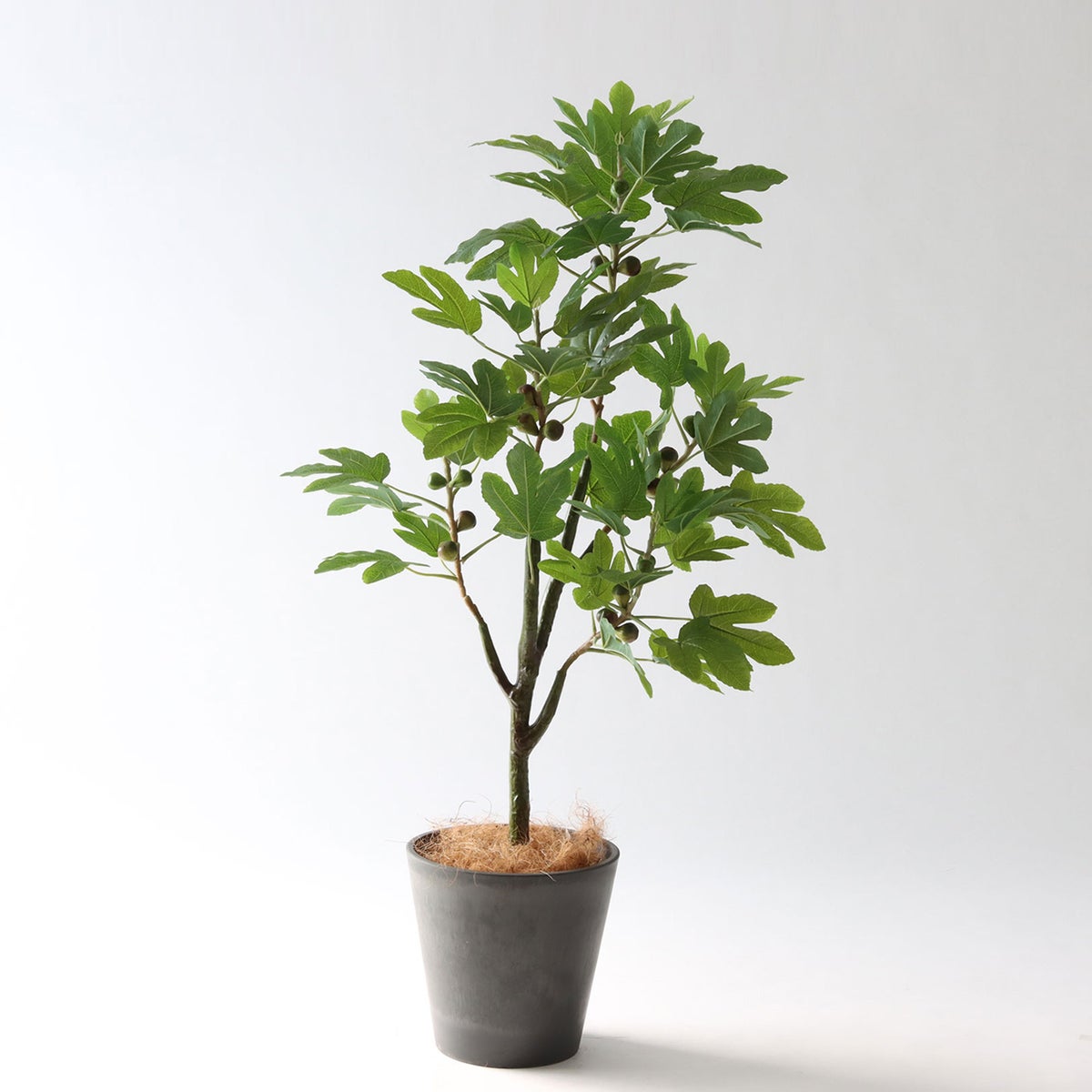 ⑮ Petraポット 小（PT8 グレー）｜高さ調整セット（+10cm）