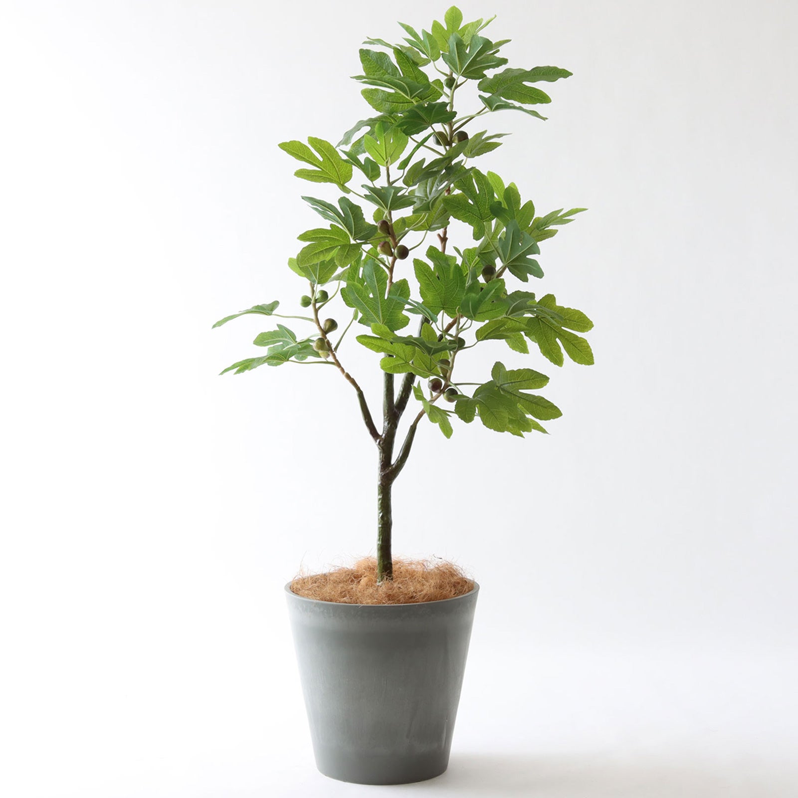 フェイクグリーン GREEN COFFRET インディア180cm 人工観葉植物 フェイクグリーン