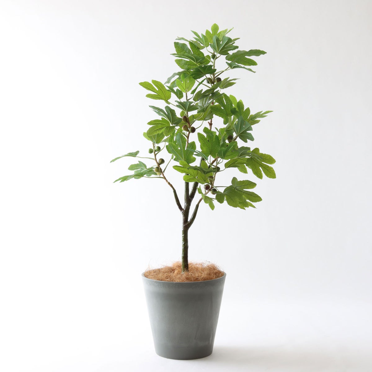 ⑯ Petraポット 大（PT10 グレー）鉢カバー＋底上げセット