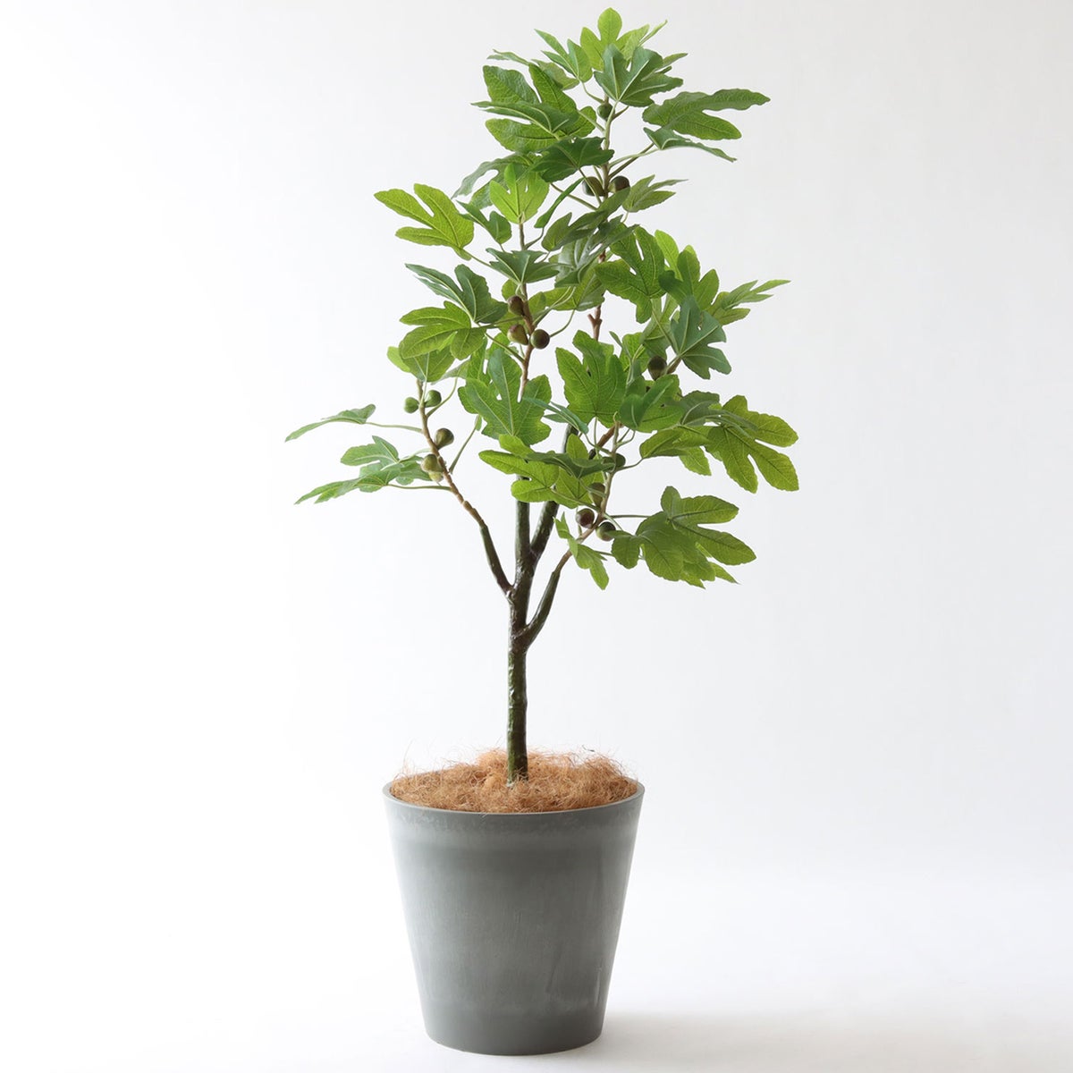 ⑯ Petraポット 大（PT10 グレー）｜高さ調整セット（+15cm）