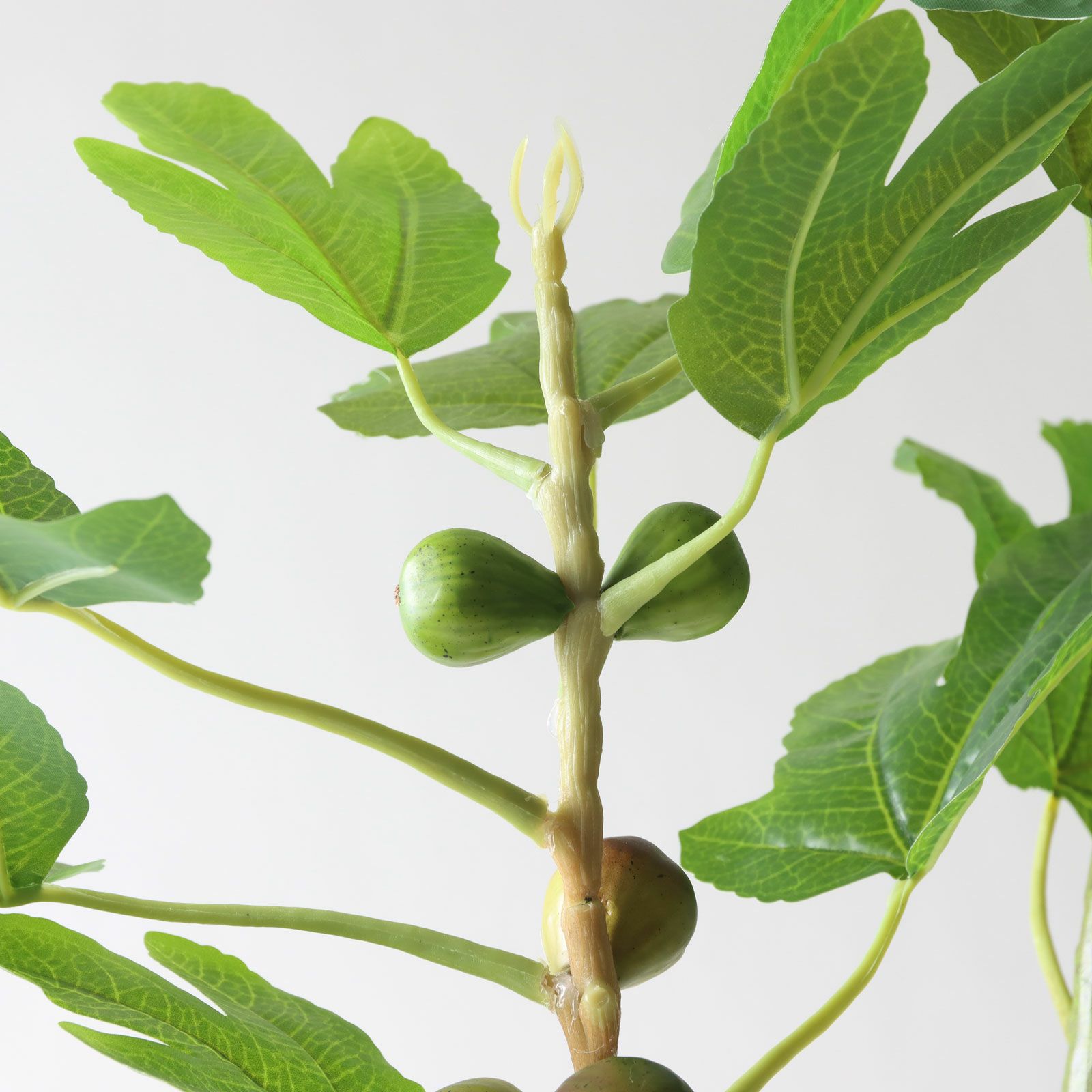 リアルな実のディテール