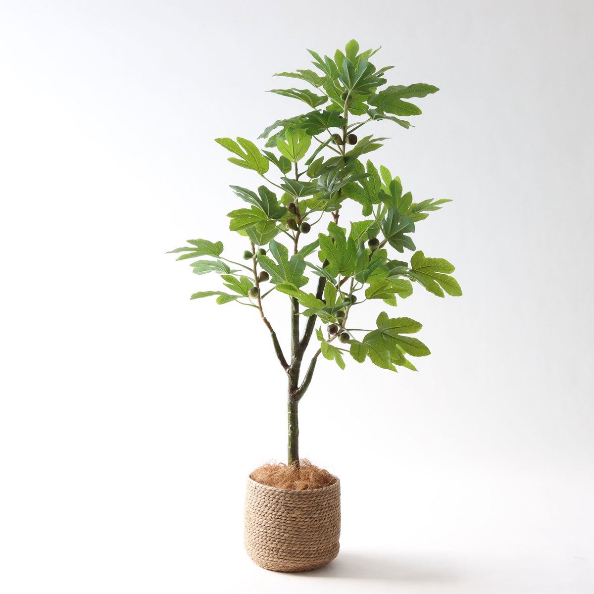 ③ シーグラス 小（SK7）鉢カバーセット