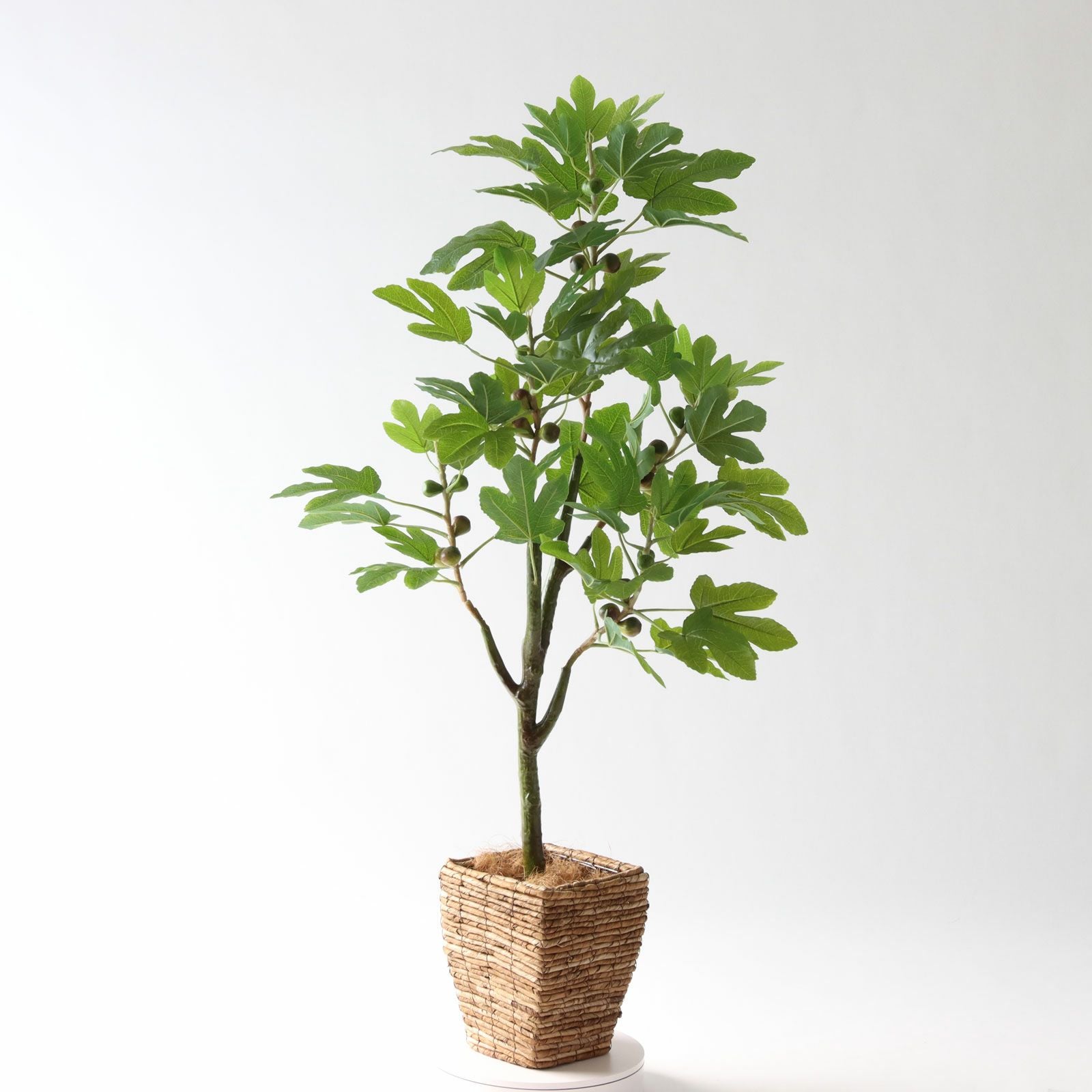 360度回転イメージ