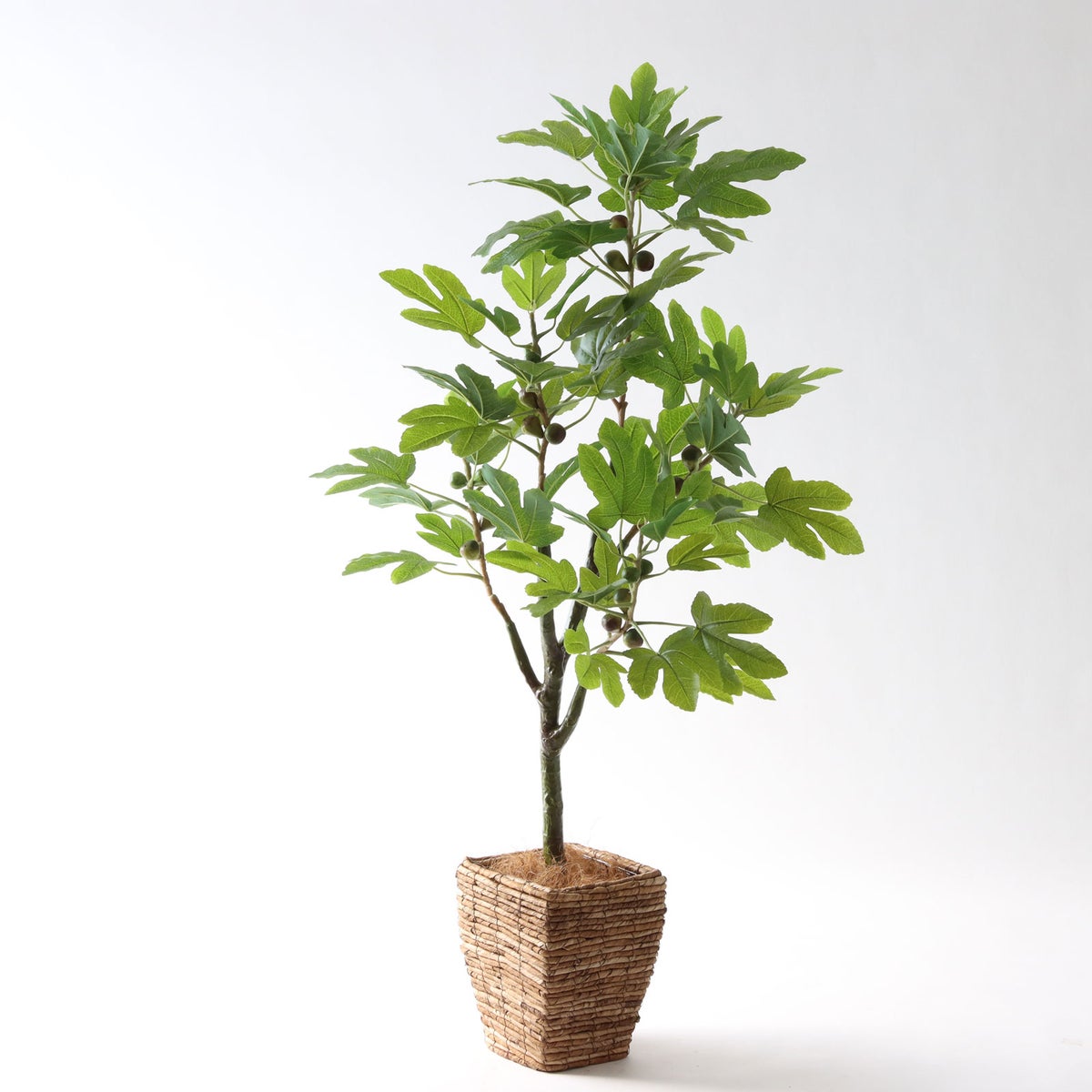 ④ バナナリーフ 小（KG4-SRE）鉢カバーセット