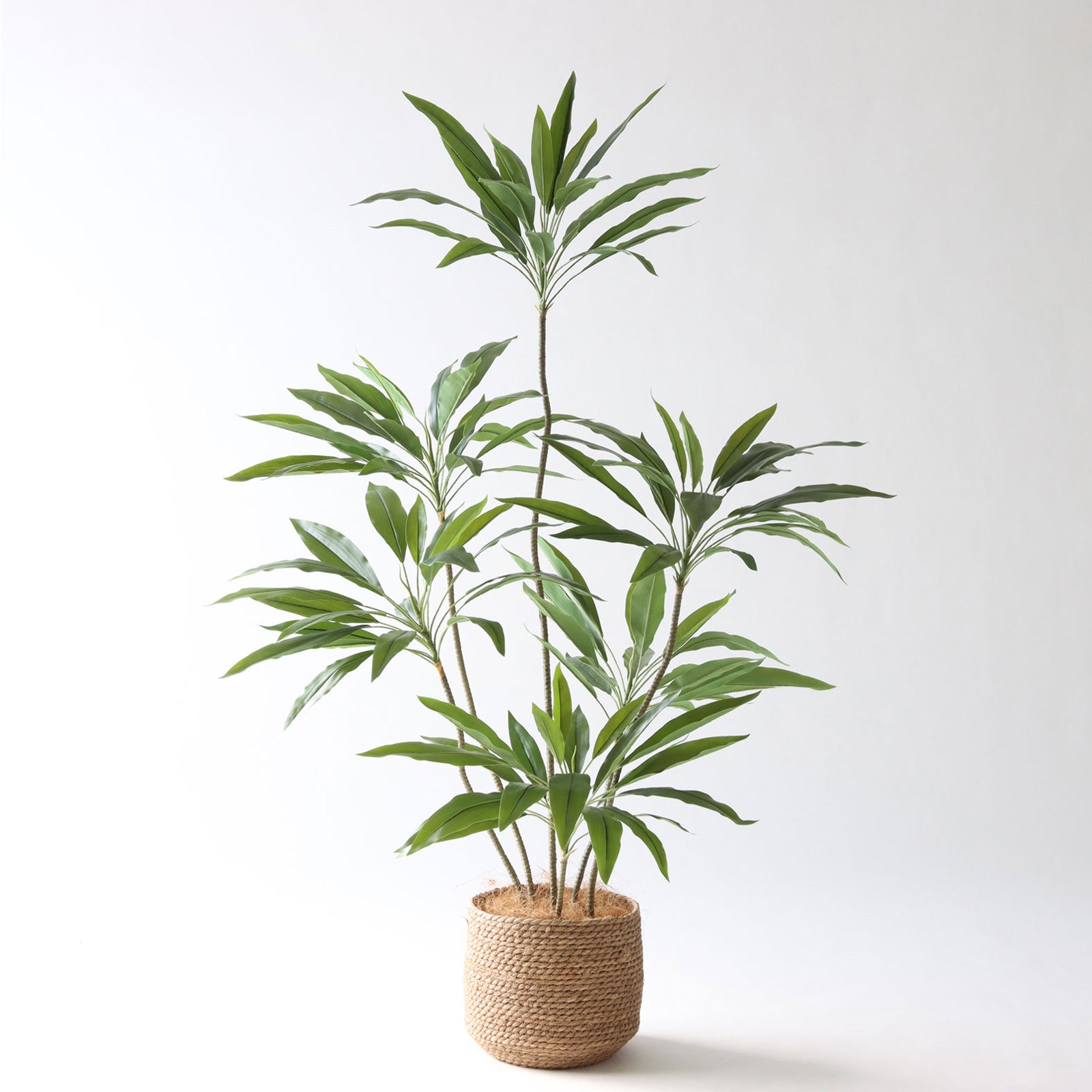 フェイクグリーン ドラセナ 光触媒 観葉植物 造花 インテリア