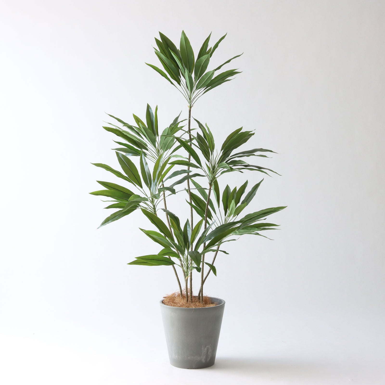 No9405 個性的な鉢カバーコーディネート例