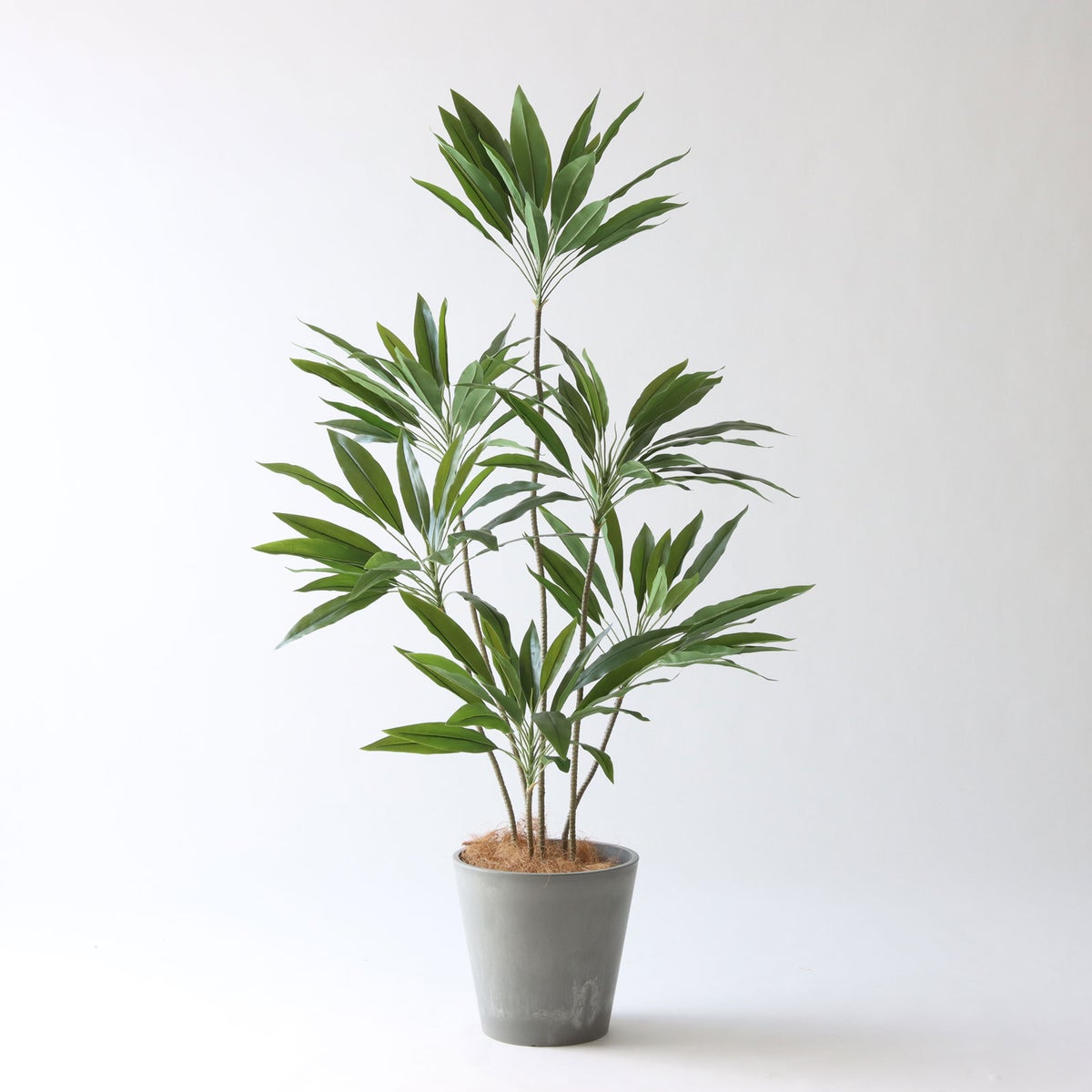 ⑮ Petraポット 小（PT8 グレー）鉢カバー＋底上げセット