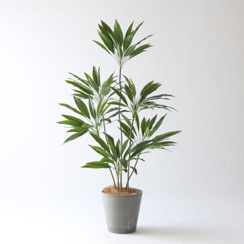 ⑮ Petraポット 小（PT8 グレー）鉢カバー＋底上げセット