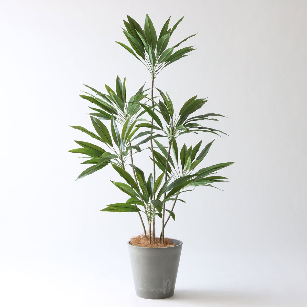 ⑮ Petraポット 小（PT8 グレー）｜高さ調整セット（+10cm）