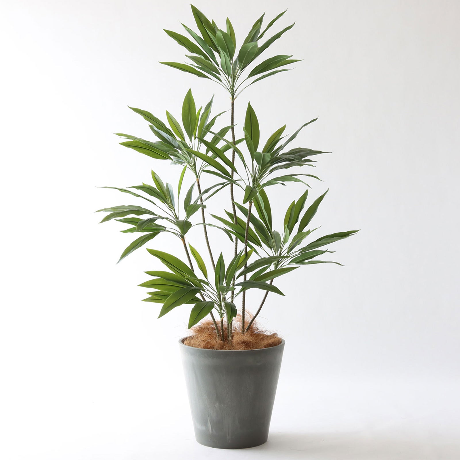 鉢カバーが選べるフェイクグリーン