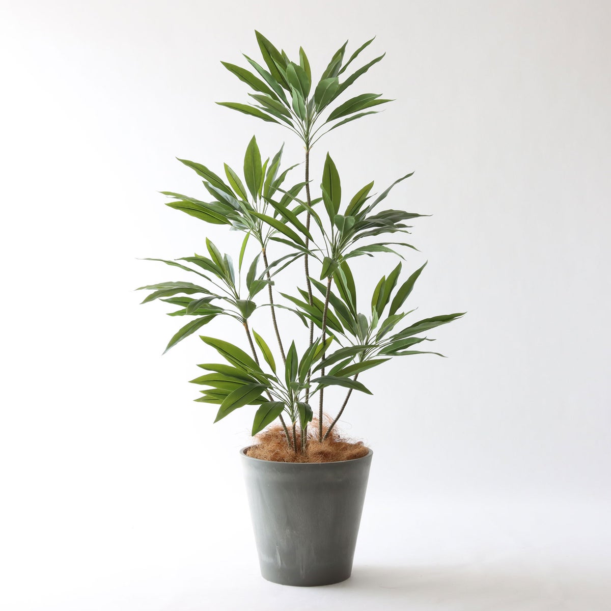 ⑯ Petraポット 大（PT10 グレー）鉢カバー＋底上げセット