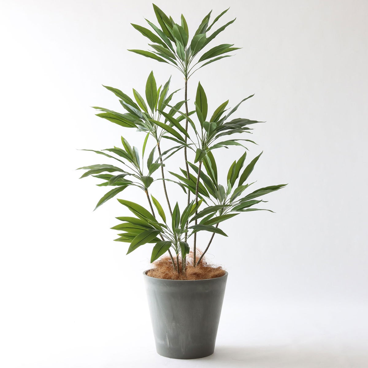 ⑯ Petraポット 大（PT10 グレー）｜高さ調整セット（+15cm）