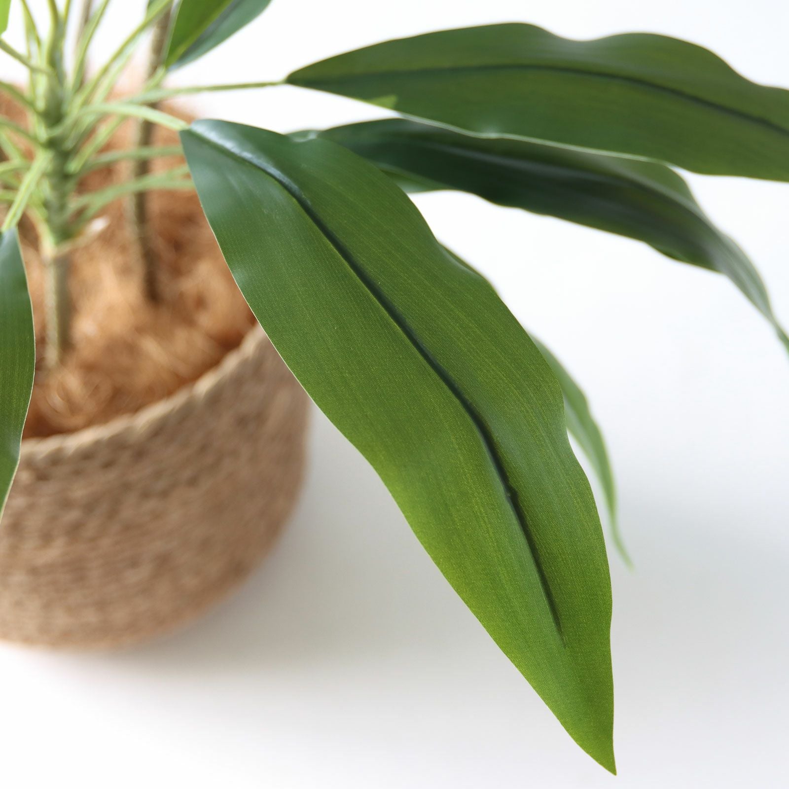 ホテルライクな空間に映えるフェイクグリーン