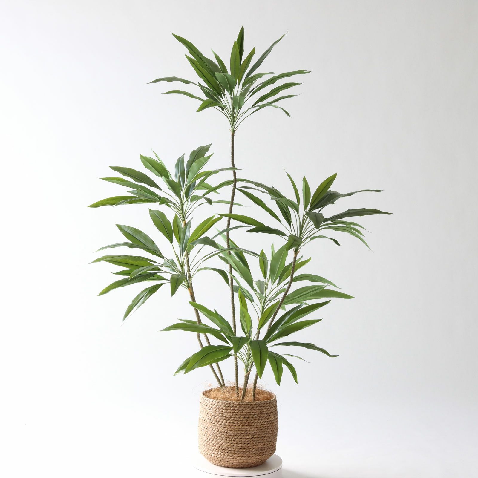 360度回転イメージ