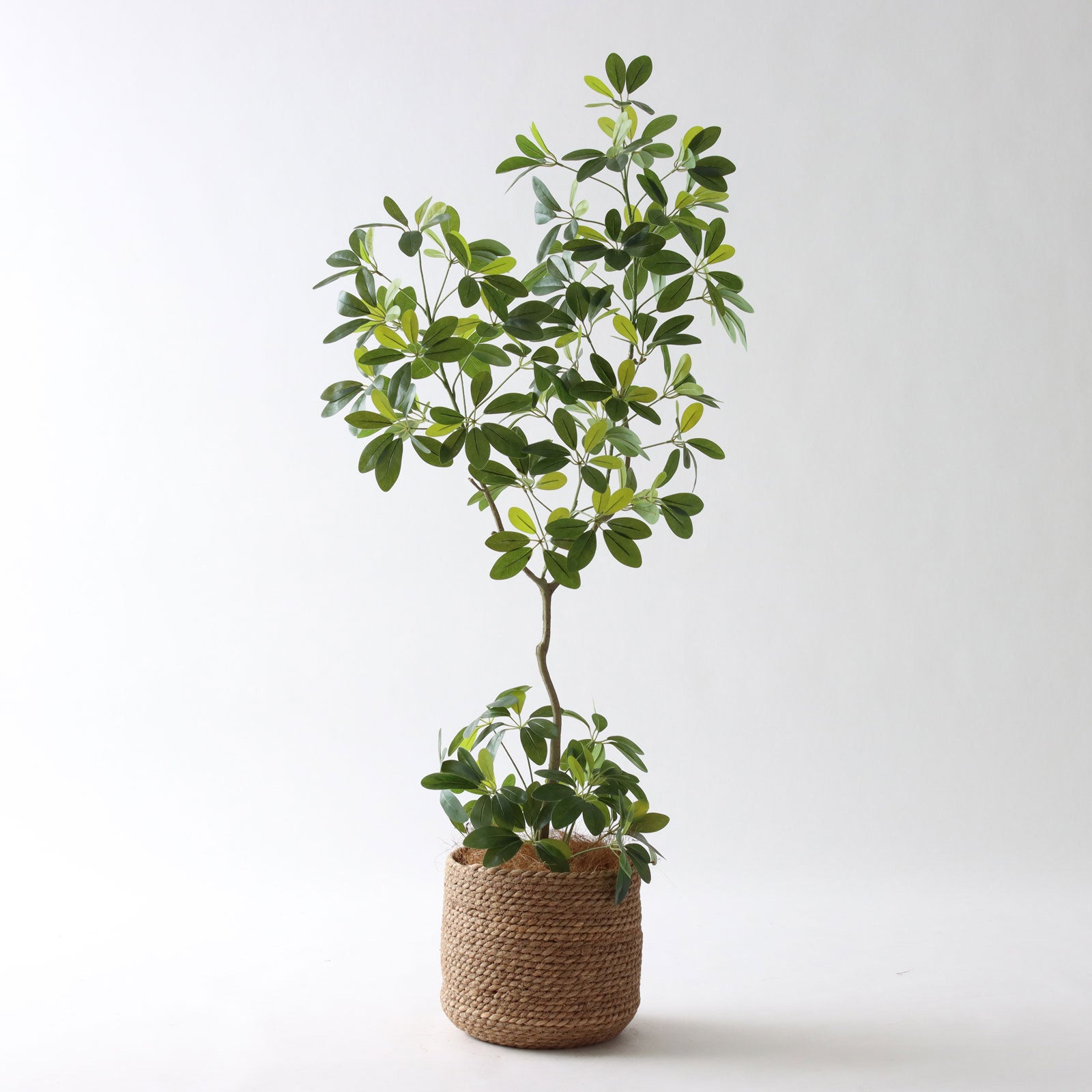 フェイクグリーン カポック シェフレラ 光触媒 観葉植物 造花 インテリア