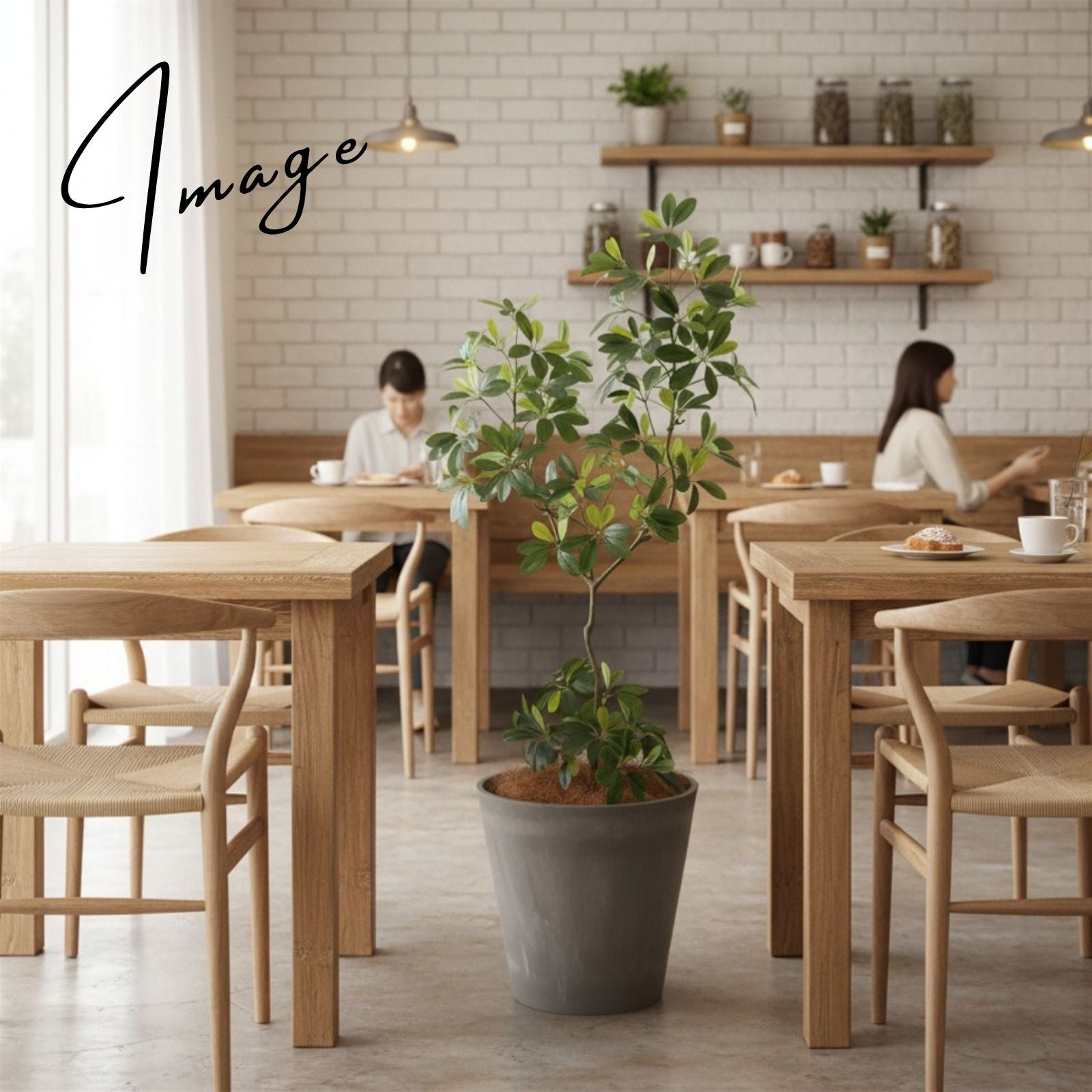 カフェ空間に配置されたグリーン