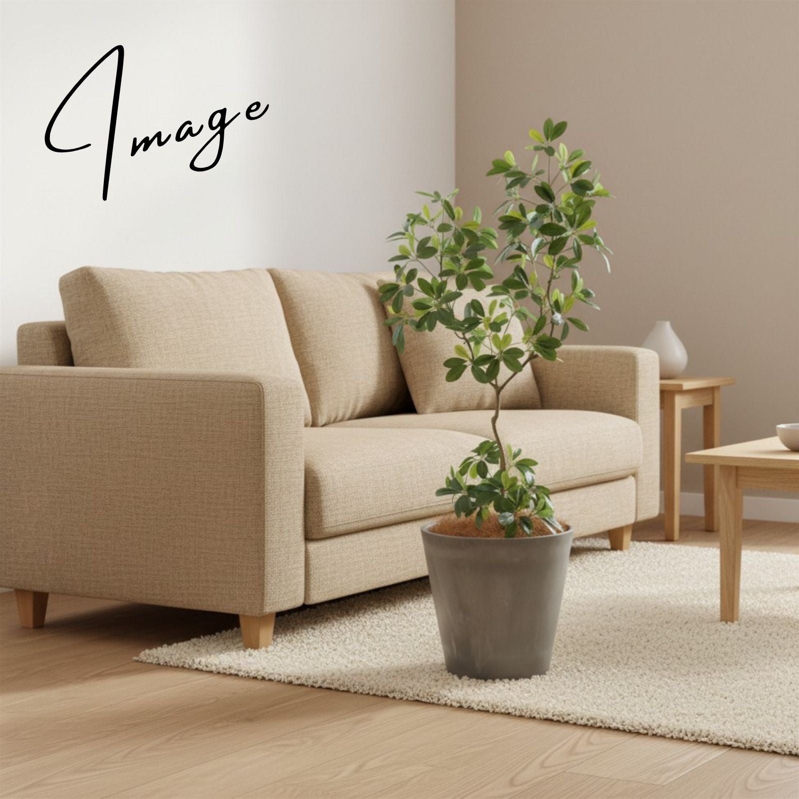 ジャパンディスタイルのリビングに置かれたグリーン