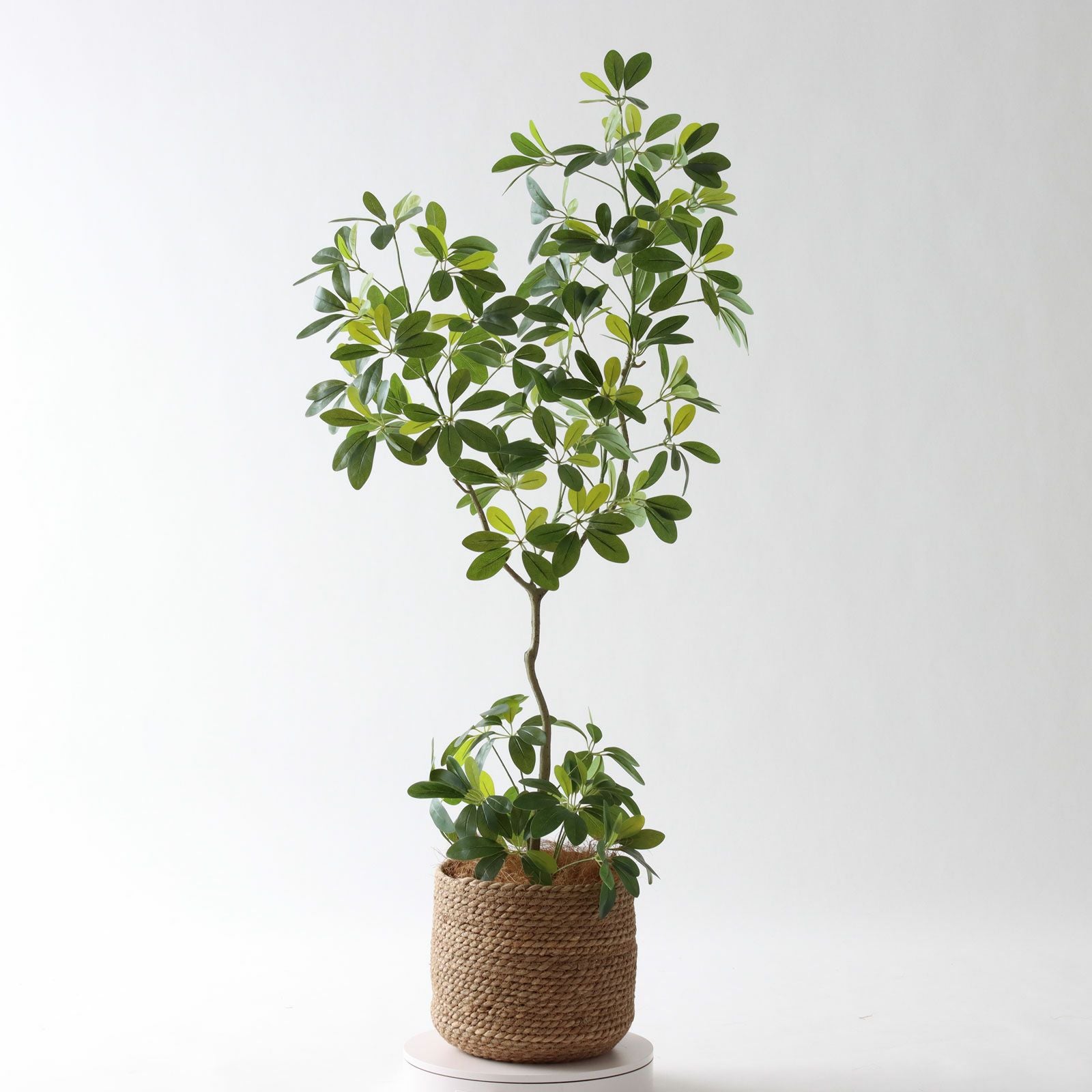 360度回転イメージ