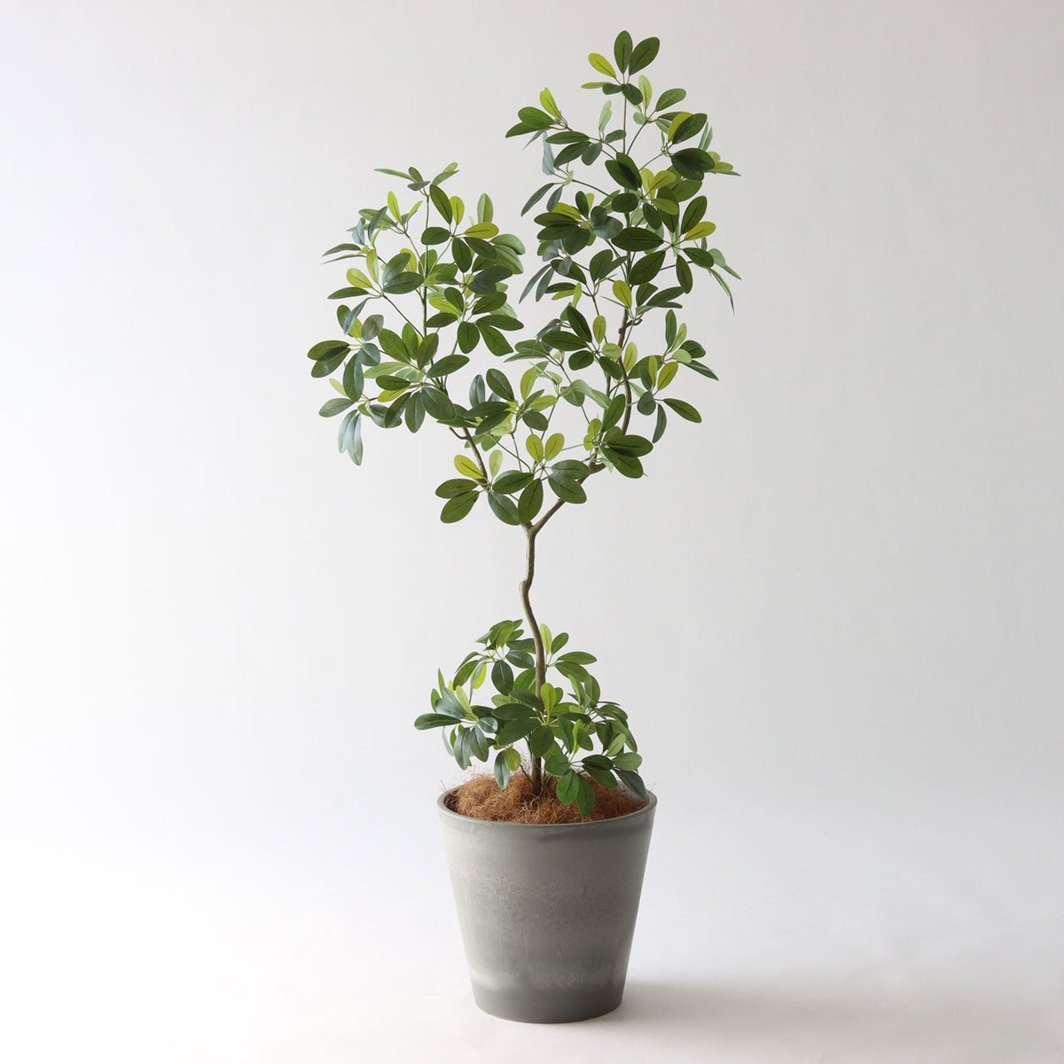 ⑮ Petraポット 小（PT8 グレー）｜高さ調整セット（+10cm）