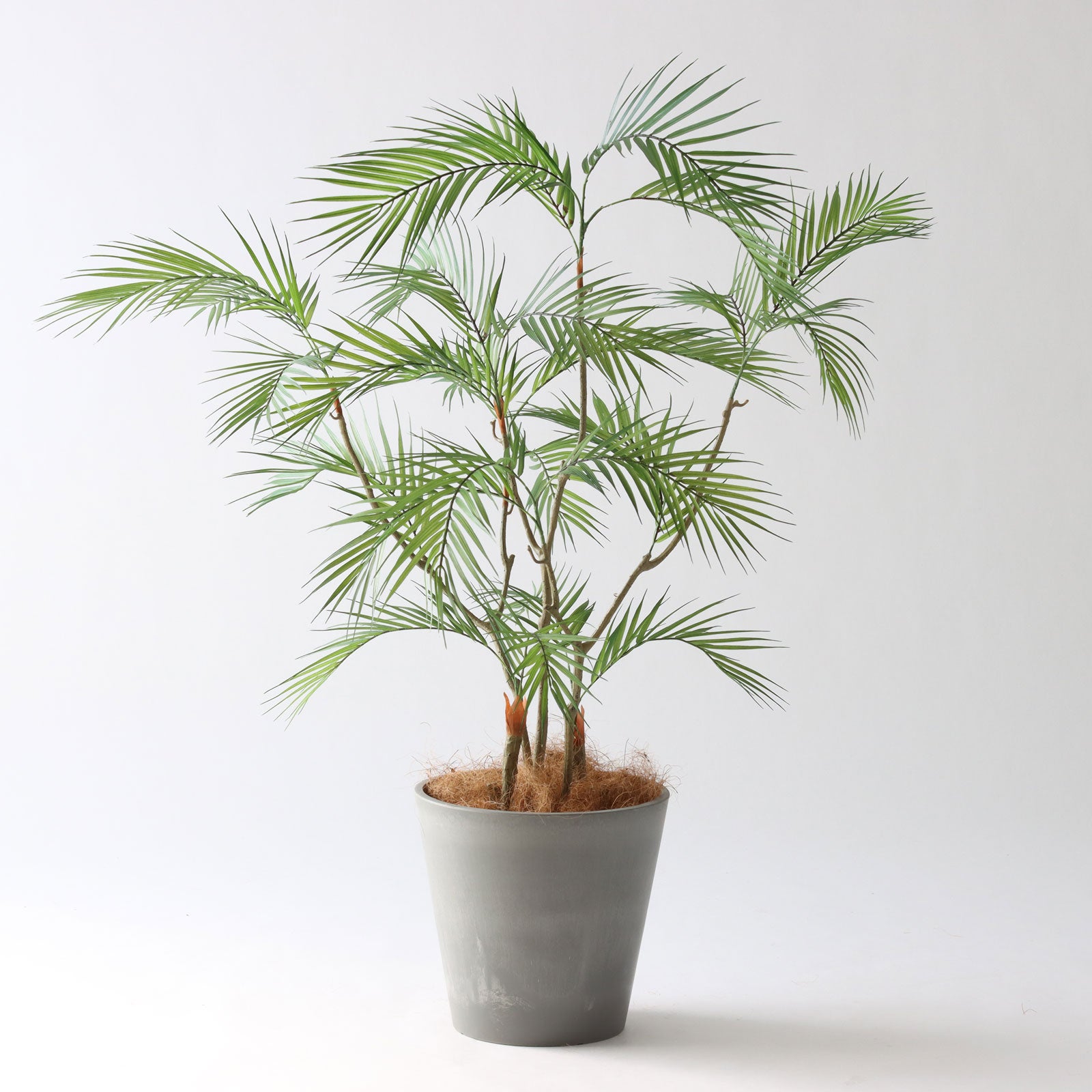 幹のラインを整えたフェイクグリーン 調整済み 観葉植物