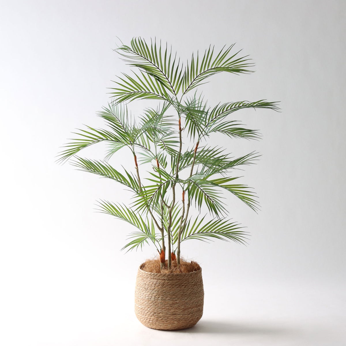 ③ シーグラス 小（SK7）｜標準セット