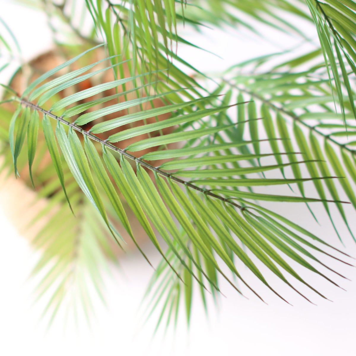 ⑭ プラ鉢（標準）